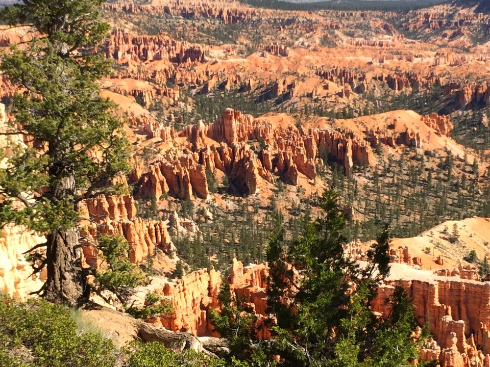 The beauty of Bryce falls away from the main road